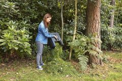 Black+Decker BEMW451BH-QS Elektrikli Çim Biçme Makinesi